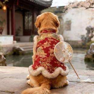 宠物狗狗新年衣服过年礼服柴犬金毛大狗秋冬加绒衣服狗狗喜庆唐装