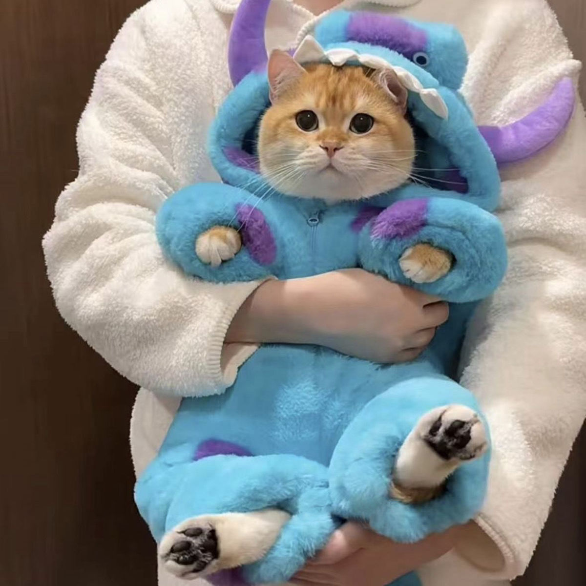 猫咪恐龙衣服秋冬保暖可爱搞怪连体珊瑚绒外套小猫变身装新款