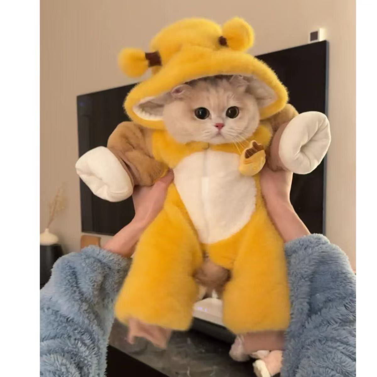 猫咪衣服秋冬装保暖布偶猫幼猫可爱小蜜蜂连帽毛绒公仔玩偶外套,宠物/宠物食品及用品,狗宠物服装/雨衣,淘宝优惠券,粉丝福利购,淘宝优惠卷