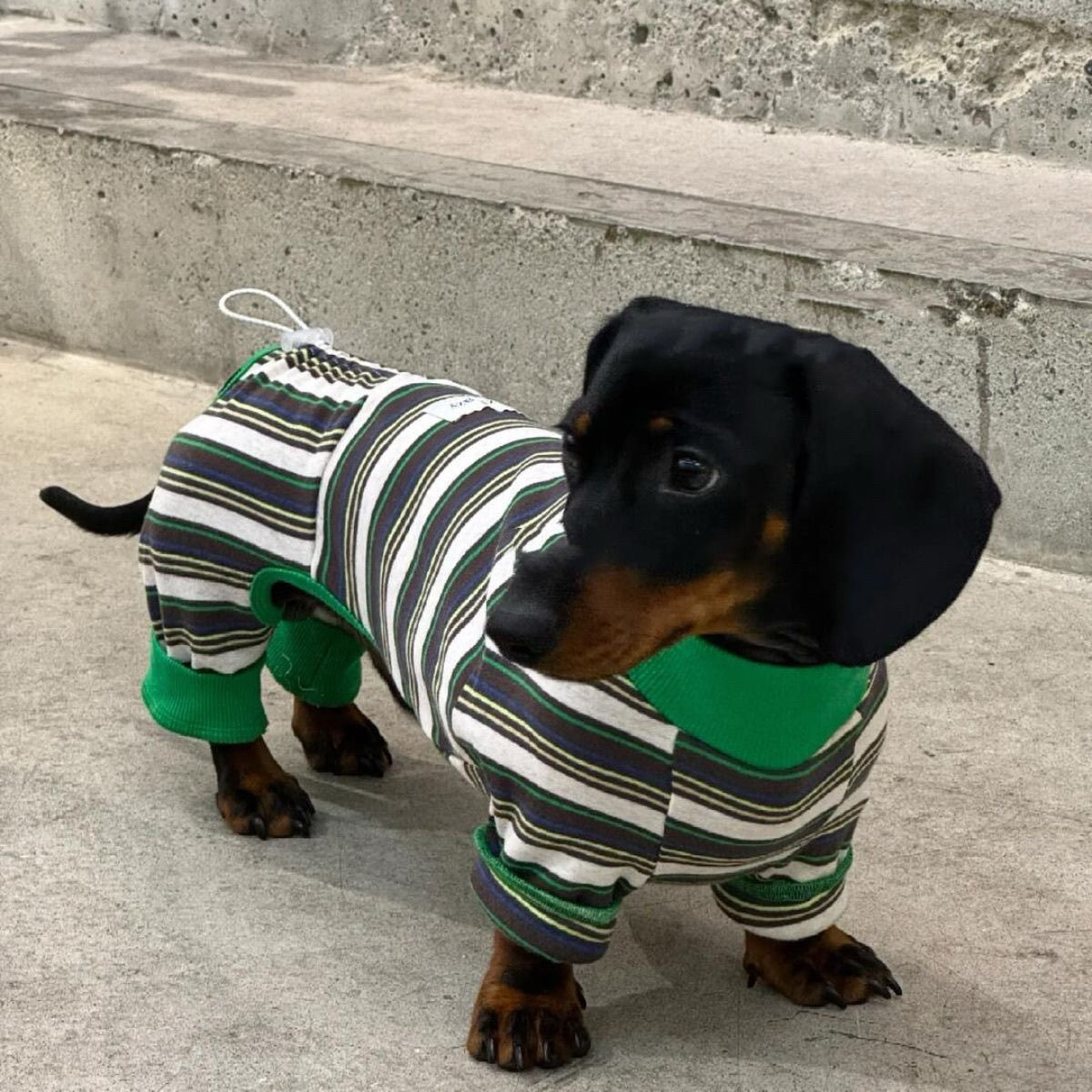 宠物狗狗衣服冬季秋冬马甲保暖腊肠犬泰迪小型犬中型犬新款,宠物/宠物食品及用品,狗宠物服装/雨衣,淘宝优惠券,粉丝福利购,淘宝优惠卷