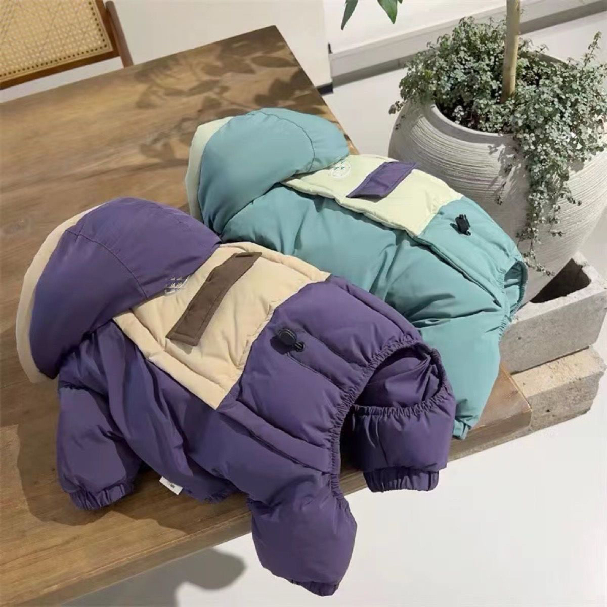 狗狗冬天衣服四脚可爱宠物小型犬泰迪加厚比熊保暖春秋款网红棉衣