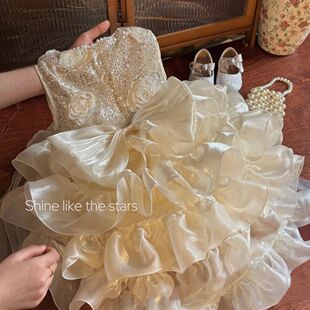 宠物狗狗猫咪裙子比熊泰迪约克夏博美中小型幼犬狗狗衣服公主风