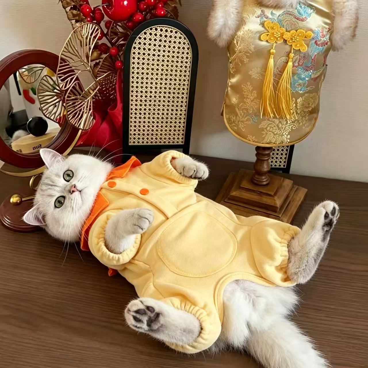 猫咪衣服秋冬护肚子全包肚防着凉保暖防掉毛幼猫小猫四脚全包睡衣图片