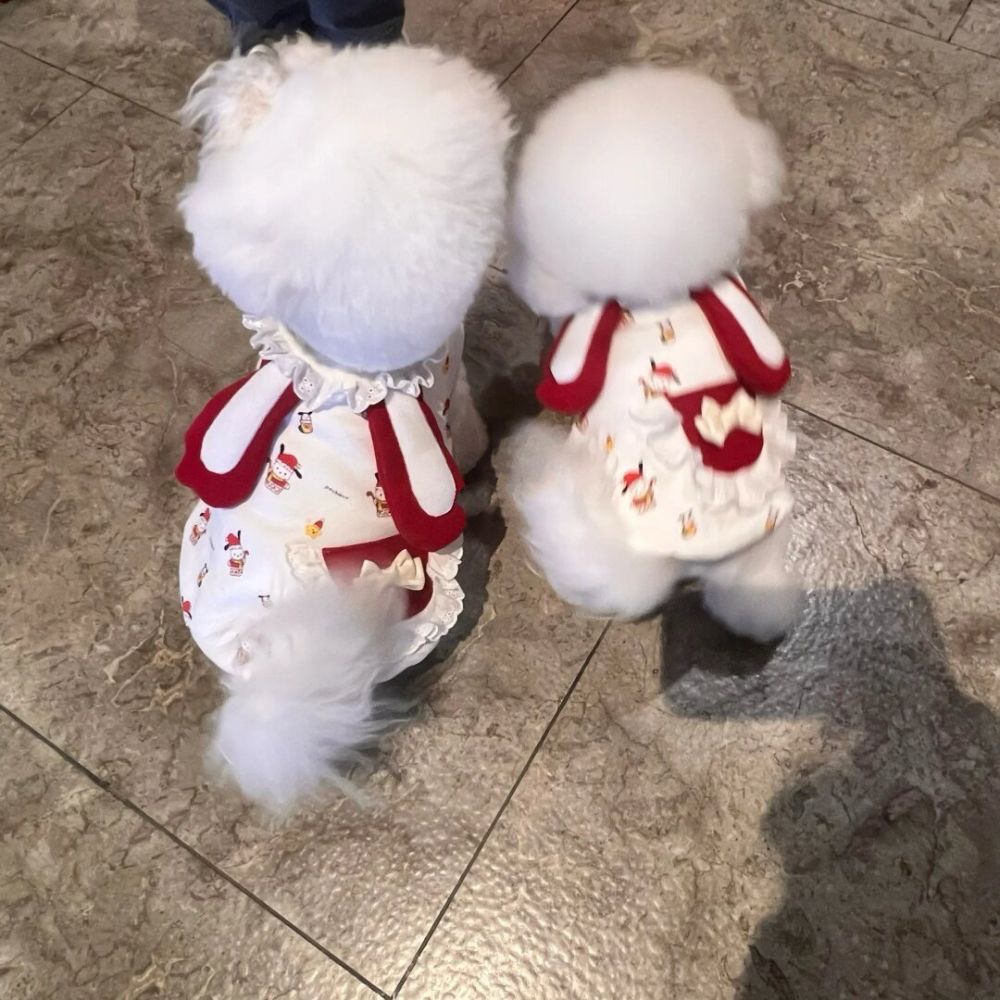 宠物衣服小狗狗背心夏季薄款韩版衣服小型犬泰迪比熊博美猫咪