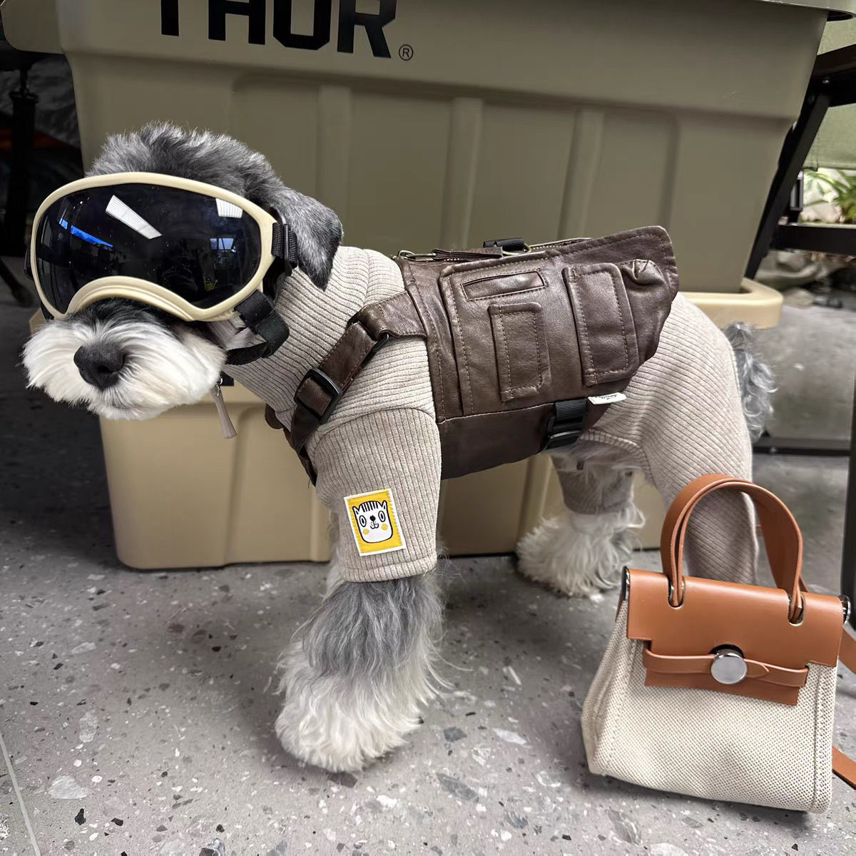 狗狗衣服秋冬潮裤雪纳瑞比熊泰迪西高地美卡四脚打底工装外套