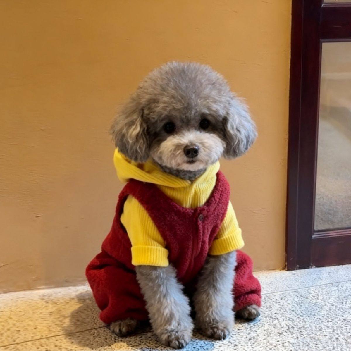 宠物过年衣服红色羊羔绒背带连体裤套装狗狗猫咪喜庆拜年保暖防寒,宠物/宠物食品及用品,狗宠物服装/雨衣,淘宝优惠券,粉丝福利购,淘宝优惠卷