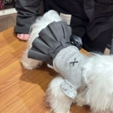 Домашние кошки и собаки весна и летняя Весеннее садовое совещание Bomei Malzis yingxia Highland Pet Clothing