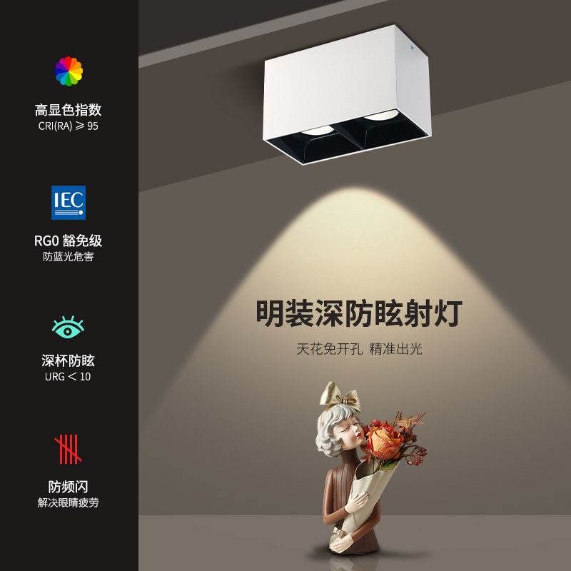 聚光防眩明装射灯双头led无主灯照明客厅灯卧室方形吸顶式斗胆灯