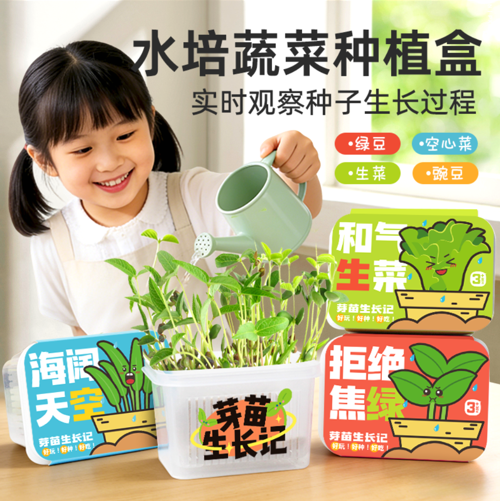 水培蔬菜种植物科学小实验无土栽培育苗豌豆劳动节幼儿园小盆栽