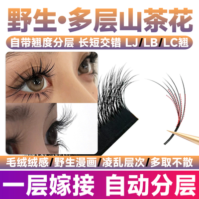 多层次野生山茶花睫毛美睫店专用