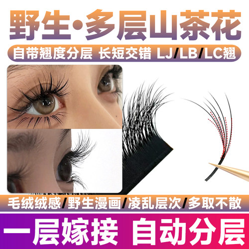 多层次野生山茶花睫毛美睫店专用