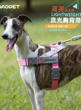WAOPET新款狗绳狗狗牵引绳项圈項圈宠物用品外出透气大狗狗胸背带