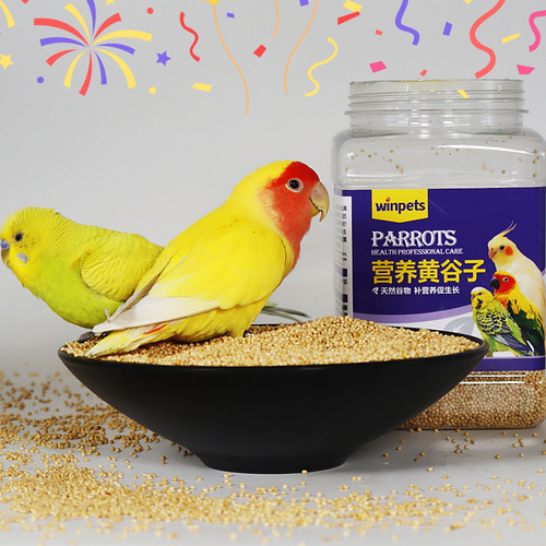 鹦鹉鸟粮鹦鹉饲料带壳黄谷子