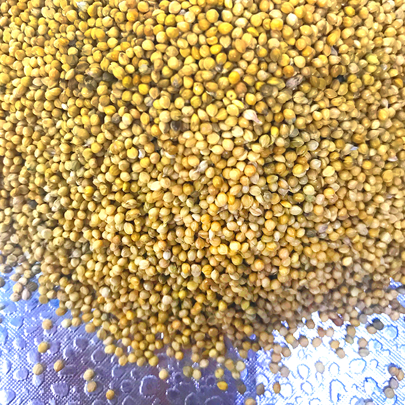 鸟粮鸟食带壳黄谷子鹦鹉饲料