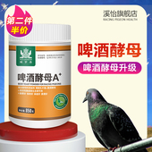 啤酒酵母粉赛鸽用保健营养调理肠道拉稀水绿便信鸽子专用品大全