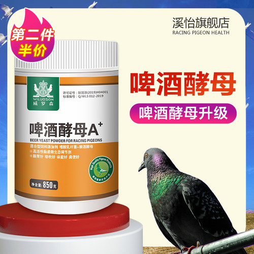 调理肠道 保健营养