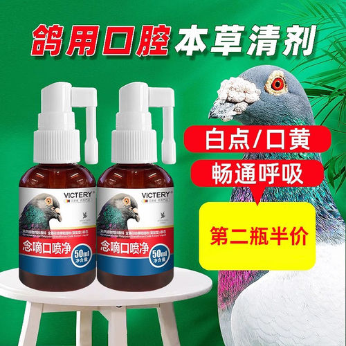 专业赛鸽口腔净白点口黄