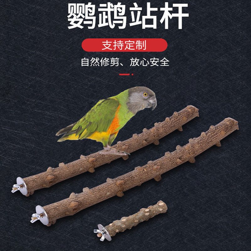 鹦鹉花椒木鸟玄凤专用磨爪