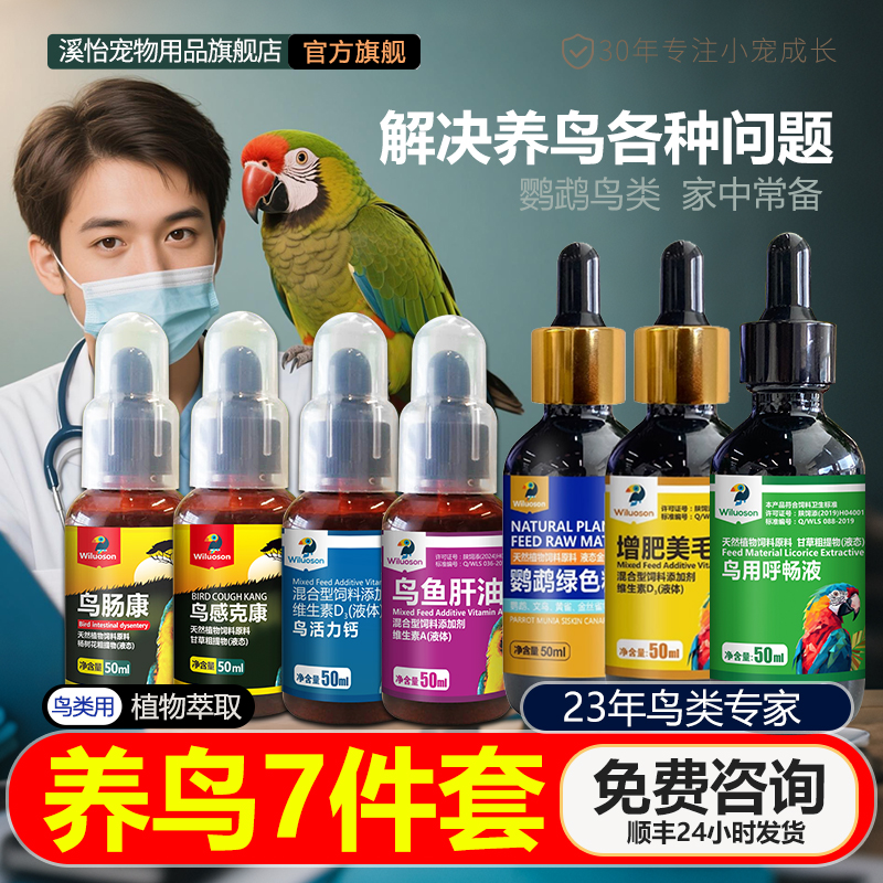 鹦鹉鸟套装家中常备用品