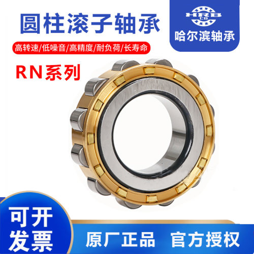 哈尔滨圆柱滚子轴承 RN 306 307 308 309 310 311 312 313 319 EM