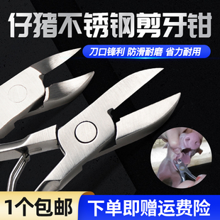 不锈钢仔猪剪牙钳猪用断牙钳子断尾钳子兽用小猪兔子剪牙器断牙钳