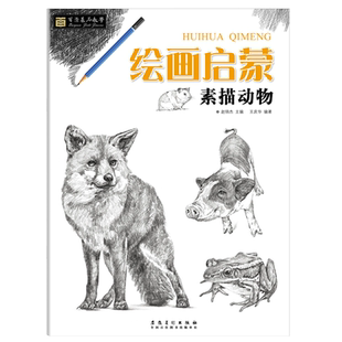 绘画启蒙素描动物素描基础教程讲解作品步骤示范作品临摹入门到精通绘画素描基础教程新手画画线描启蒙教程