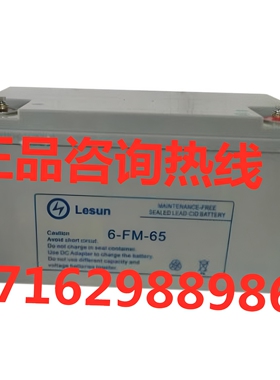 Lesun蓄电池6-FM-65 / 12V65AH 铅酸免维护电池 UPS/EPS 太阳能用