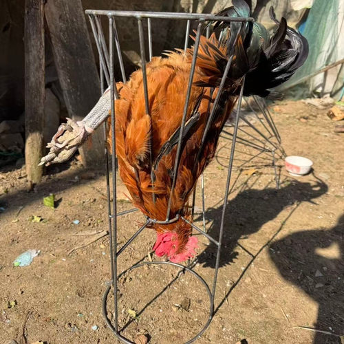 杀鸡鸭神器杀鸭笼专用工具放血架