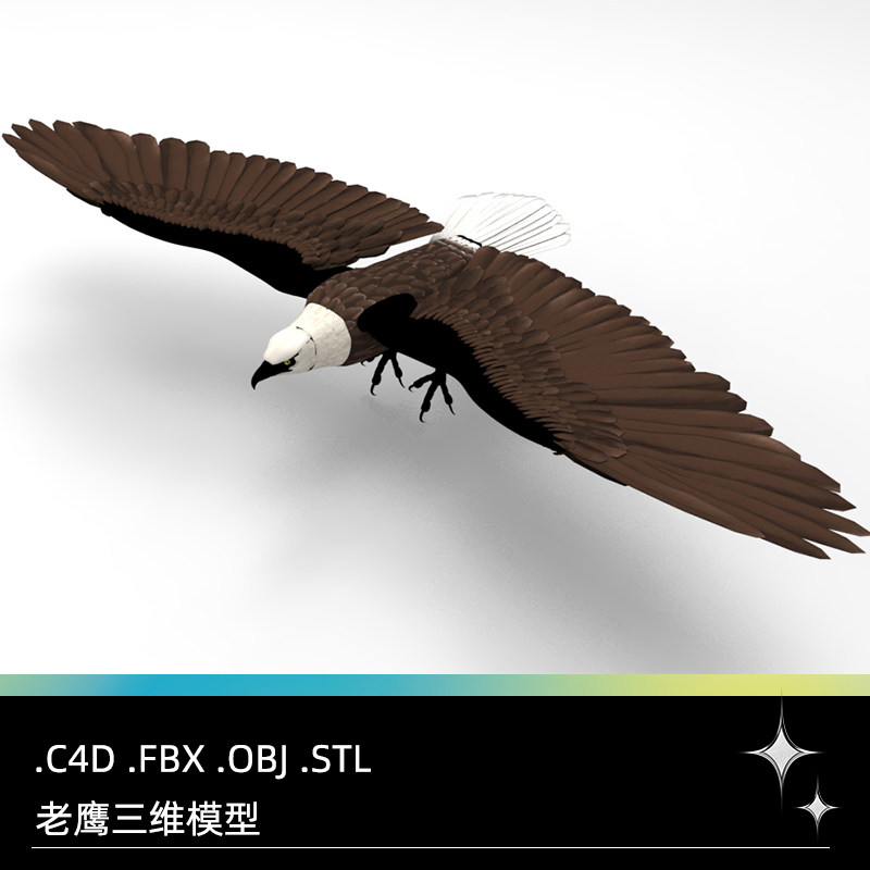 C4D FBX STL OBJ Blender Maya老鹰鸟禽白头鹰飞禽动物三维3D模型