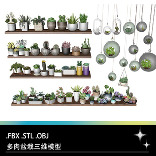FBX STL OBJ SU多肉盆栽植物仙人掌石莲唐印黄丽芦荟新玉缀模型