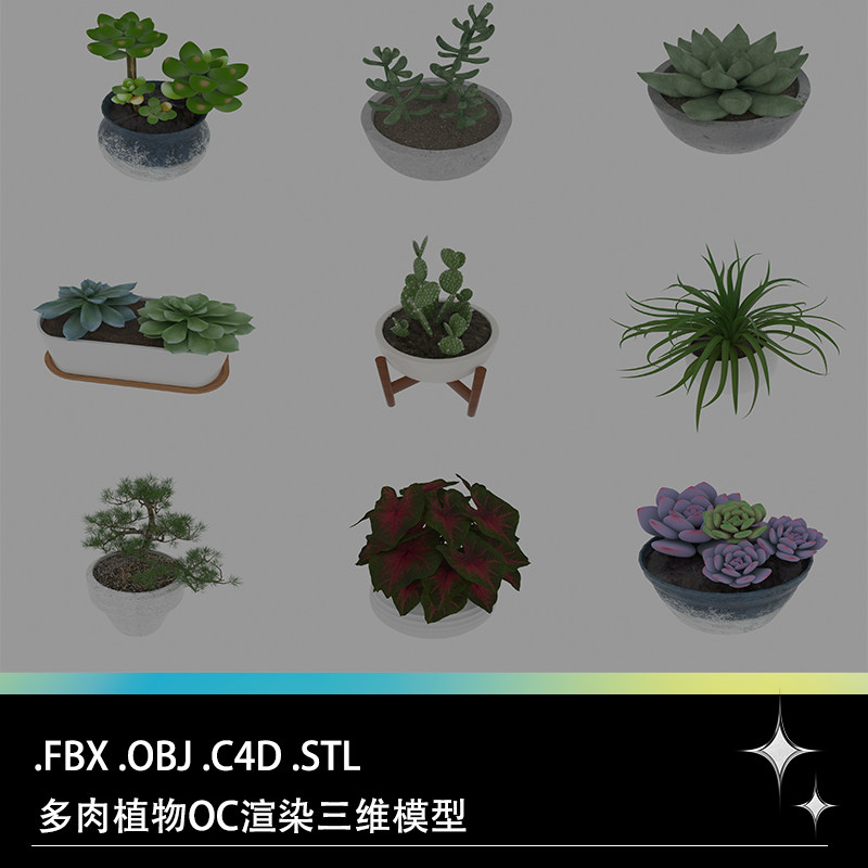 C4D FBX STL多肉盆栽仙人掌松树芙蓉雪莲玉露五彩芋三维模型
