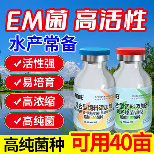 EM菌种原种水产养殖发酵浓缩乳酸菌液芽孢杆菌原种种植用厂家直销