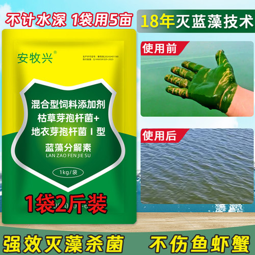 【杀除蓝藻】效果显著安全高效
