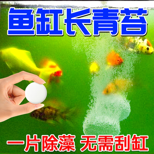 鱼缸专用除藻剂安全不伤鱼