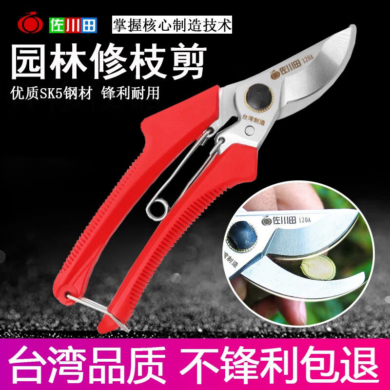 修剪绿植剪刀树粗枝剪刀修枝剪园林花艺剪树枝修枝剪家用花剪果枝