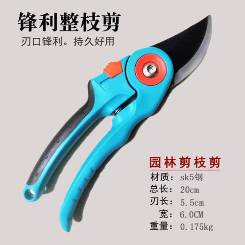 园艺剪刀剪枝剪刀修剪树枝果树修枝剪园林剪刀花剪园林大力剪YK-1