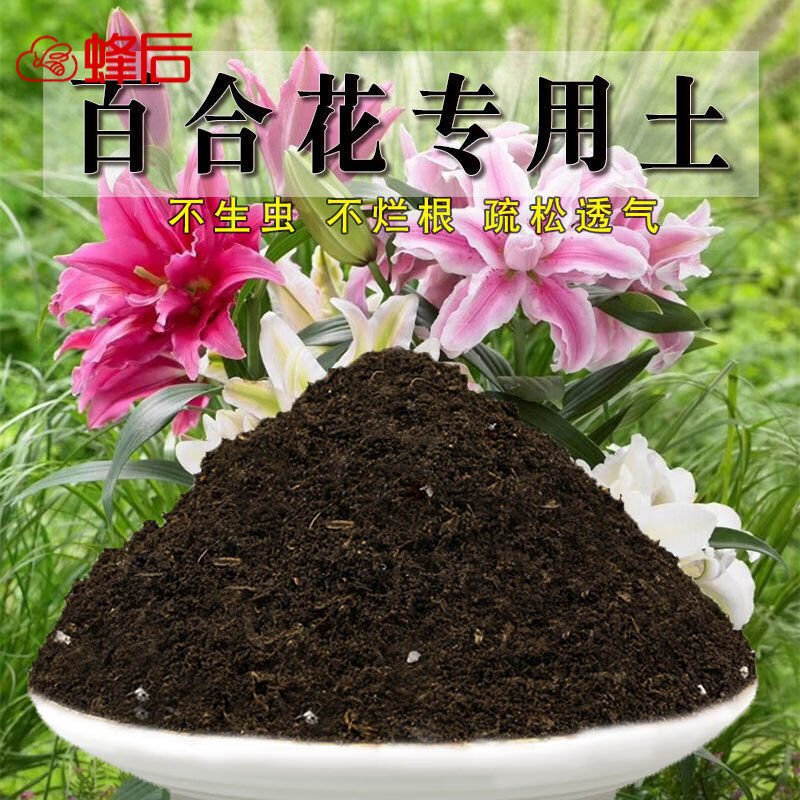 蜂后百合花专用土百合花土营养土通用盆栽土种植种花养花泥土肥料
