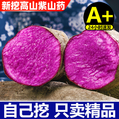 新挖紫色山药【精品果】