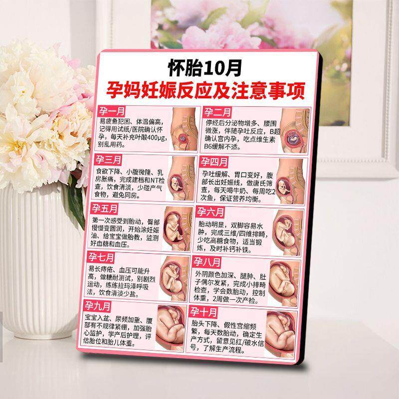 怀孕十月注意事项木制相框摆台母婴店孕期知识科普装饰工艺礼品