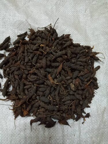 客家野生香附子/雷公头香附 莎草根、香附米、三棱草500克包邮