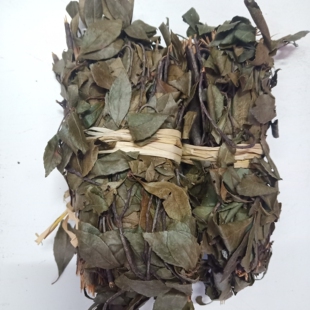 梅州山区野生火炭树叶/梅州蕉岭常用宝宝洗痱子中药材500克包邮