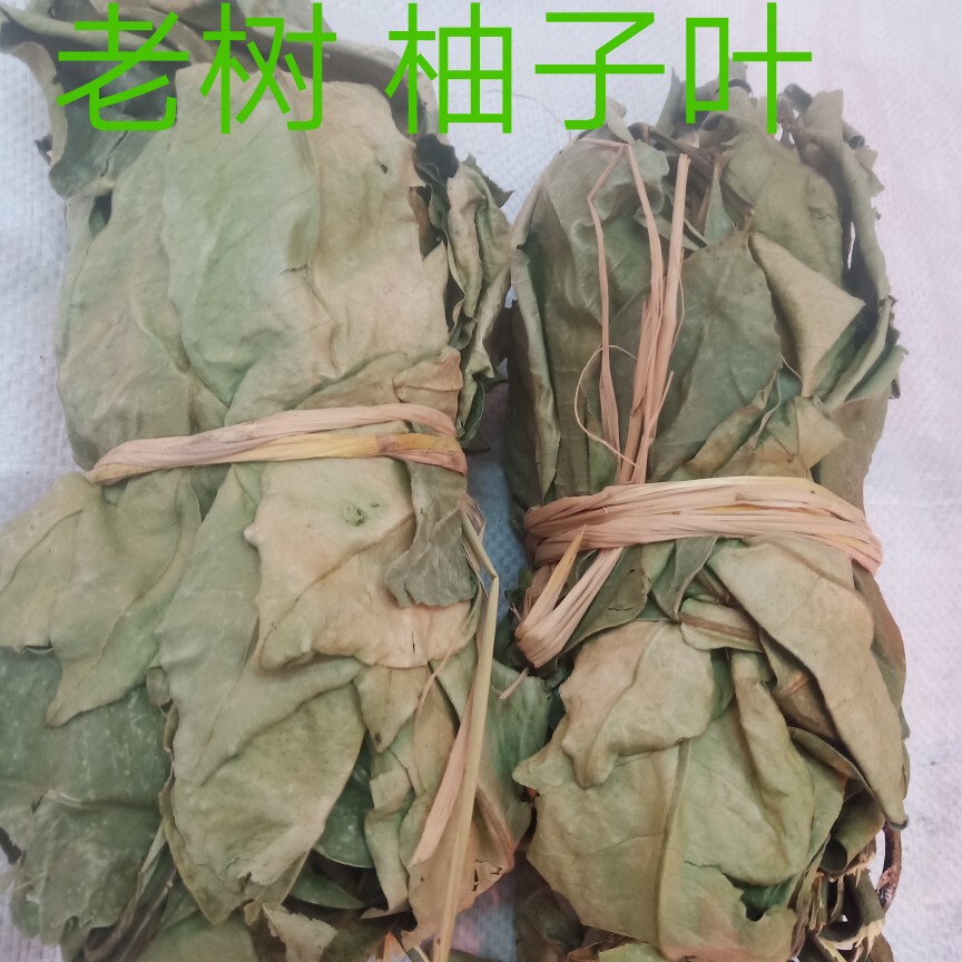 蜜柚叶子 摘老树带枝柚子叶开运祈福转运沐浴干货500克包邮