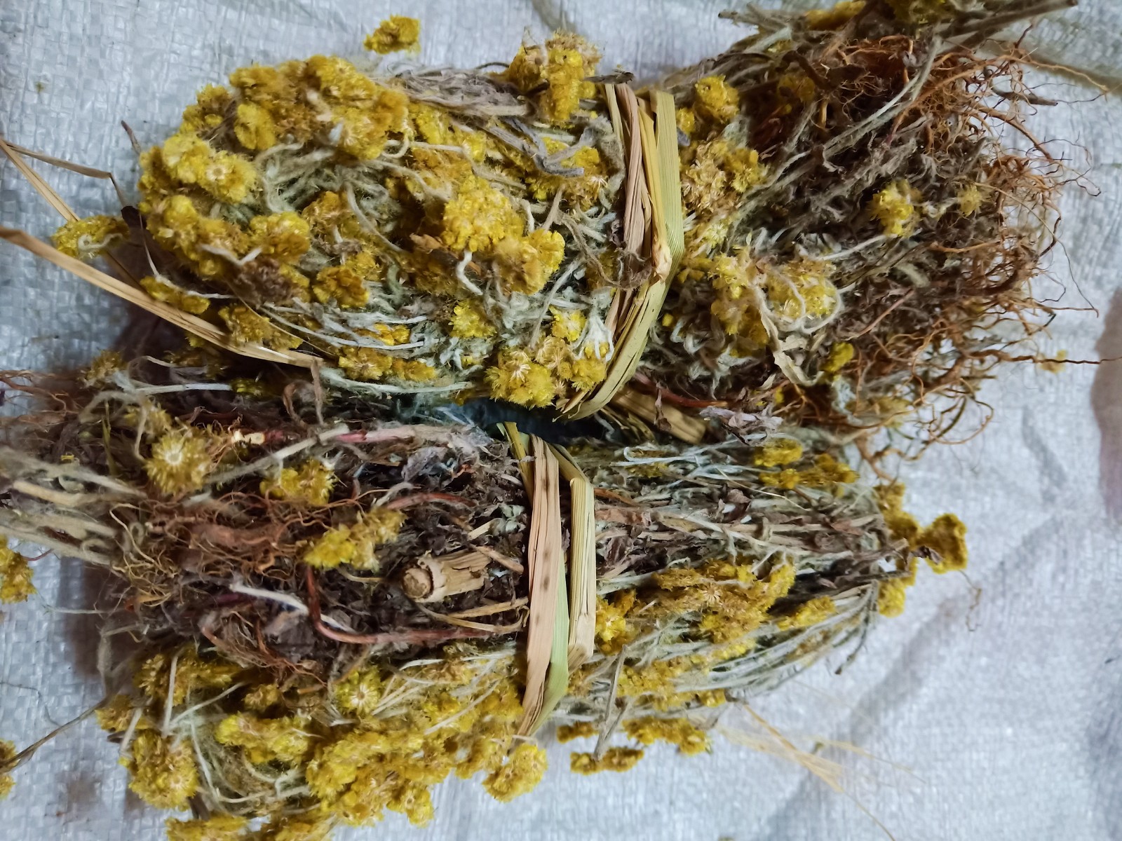 生和堂野生白头翁,黄花白头翁,客家人常用中药材500克包邮