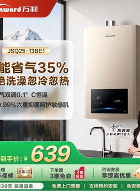 万和恒温燃气热水器家用天然气液化气煤气13升BE1节能省气香槟金