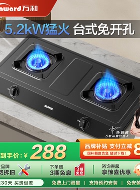 万和不锈钢煤气双家用天然气炉灶具台式燃气灶液化气D9