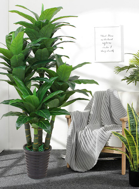 仿真绿植盆栽客厅植物室内假树装饰网红发财树造景假盆景落地假花