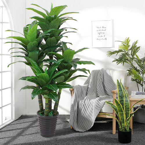 大型室内发财树造景落地仿真绿植