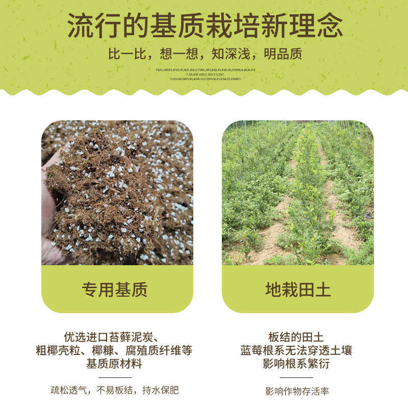 蓝莓专用土栽培基质大棚盆栽种植杜鹃花科越橘属土壤弱酸性营养土,鲜花速递/花卉仿真/绿植园艺,介质/营养土,淘宝优惠券,粉丝福利购,淘宝优惠卷