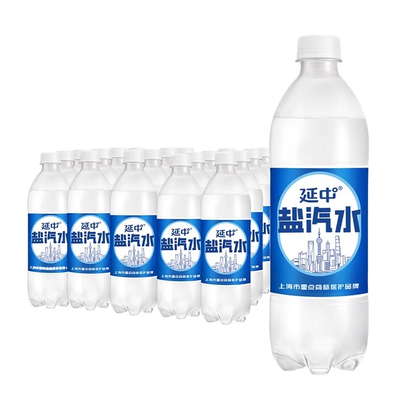 延中盐汽水600ml*20瓶整箱解暑降温夏季碳酸汽水饮料小瓶整箱装水
