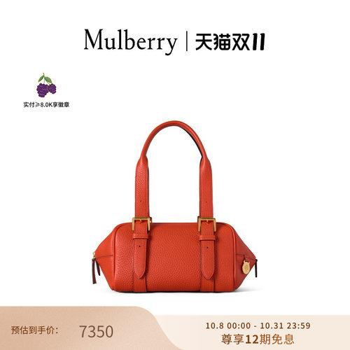 MulberryBoston小号手提包